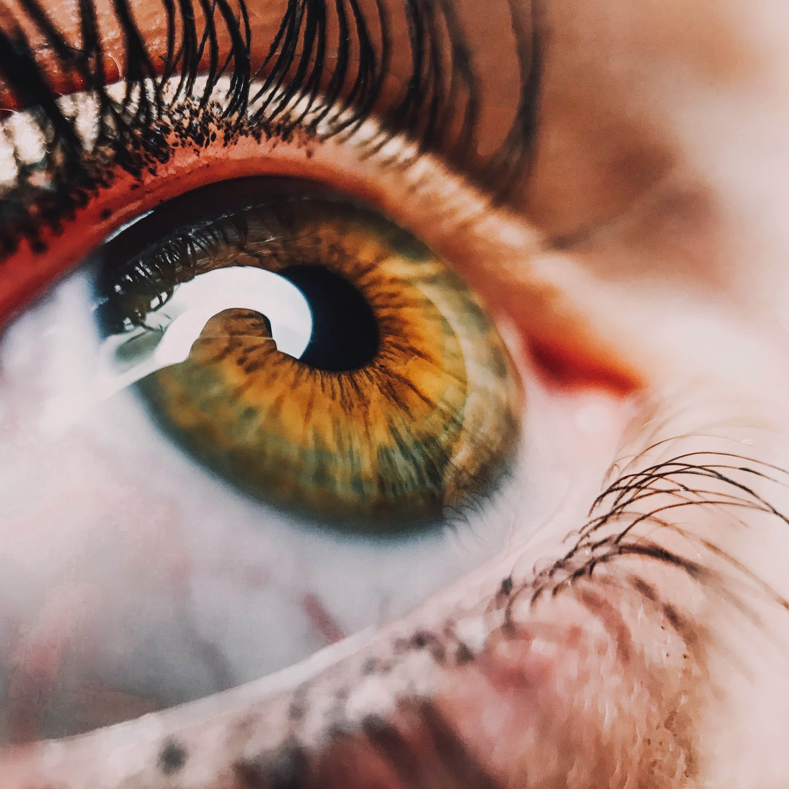 Closeup of eye, showing pupil and eye lashes.