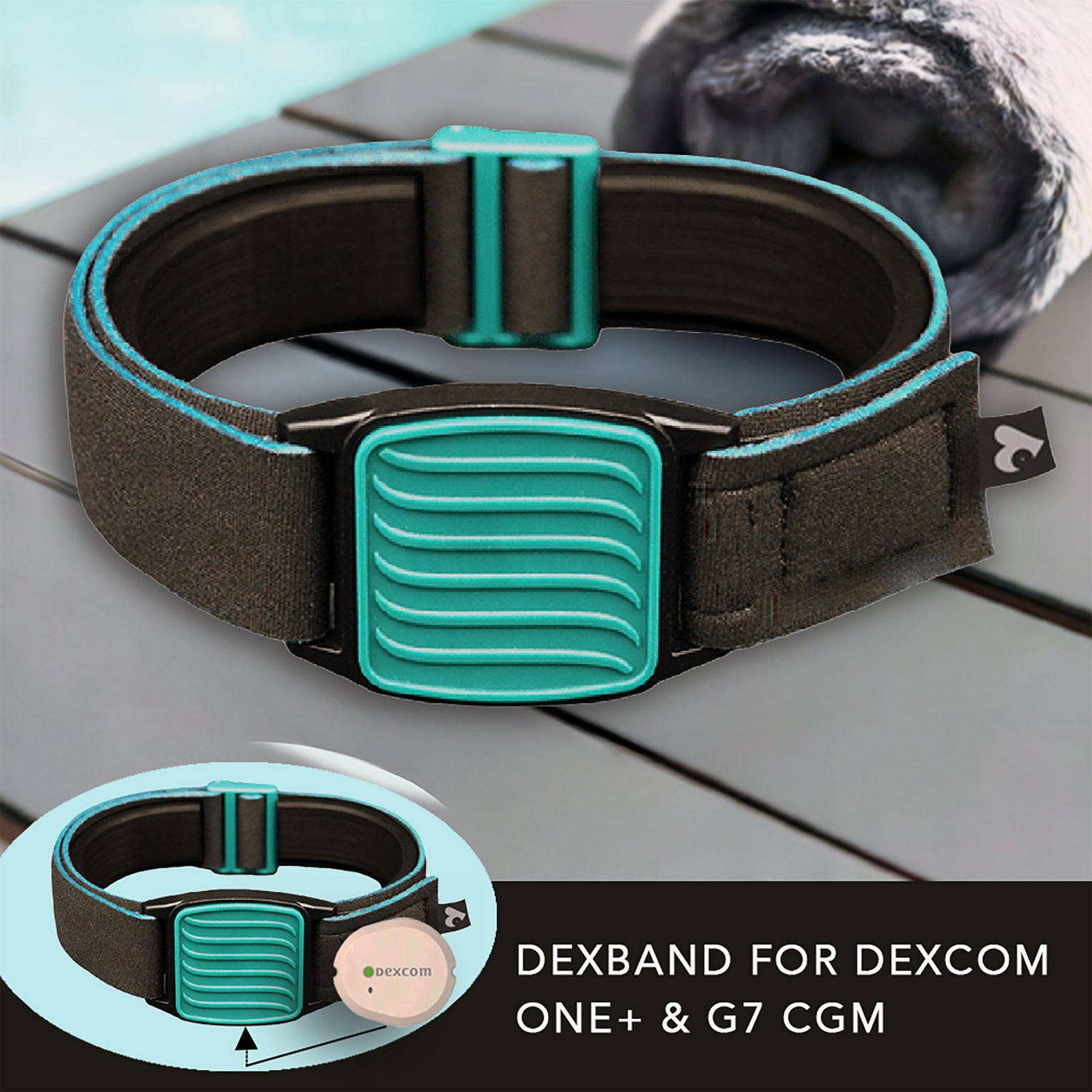 Dexband CGM armband with teal wave cover and neoprene strap, compatible with Dexcom G7 and ONE+ sensors, on wooden lounger in swimming pool setting.