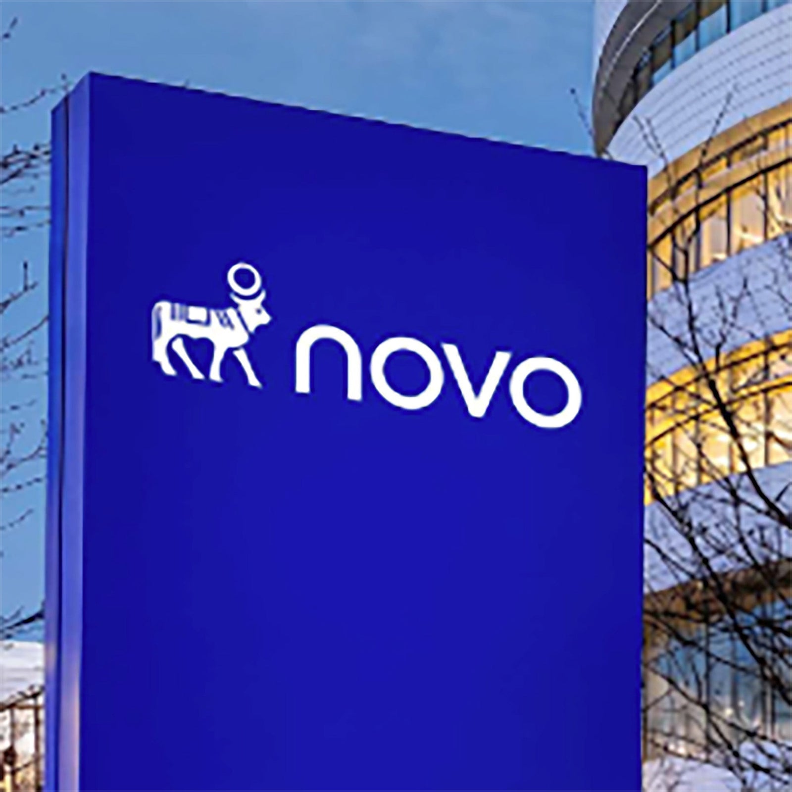 Novo Nordisk becomes ‘Novo’ as diabetes giant rebrands for health market