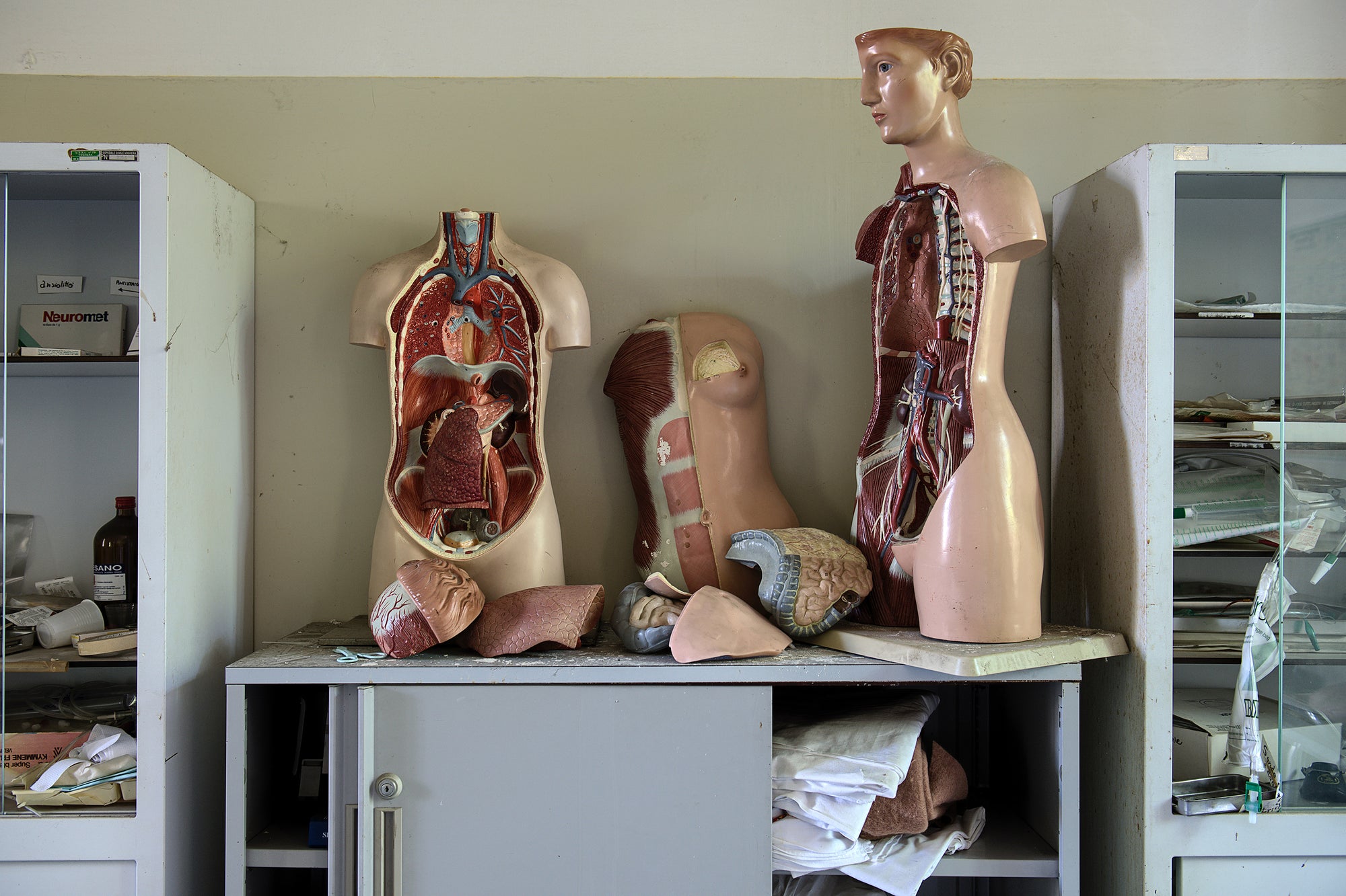 Biology lab with torso mannequins.