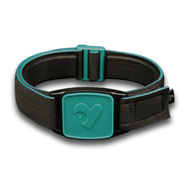 Libreband armband cover in teal with heart design. Black strap edged in coordinating teal. 